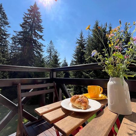 Апартамент Горска Приказка - Forest Tale Smolyan Buitenkant foto