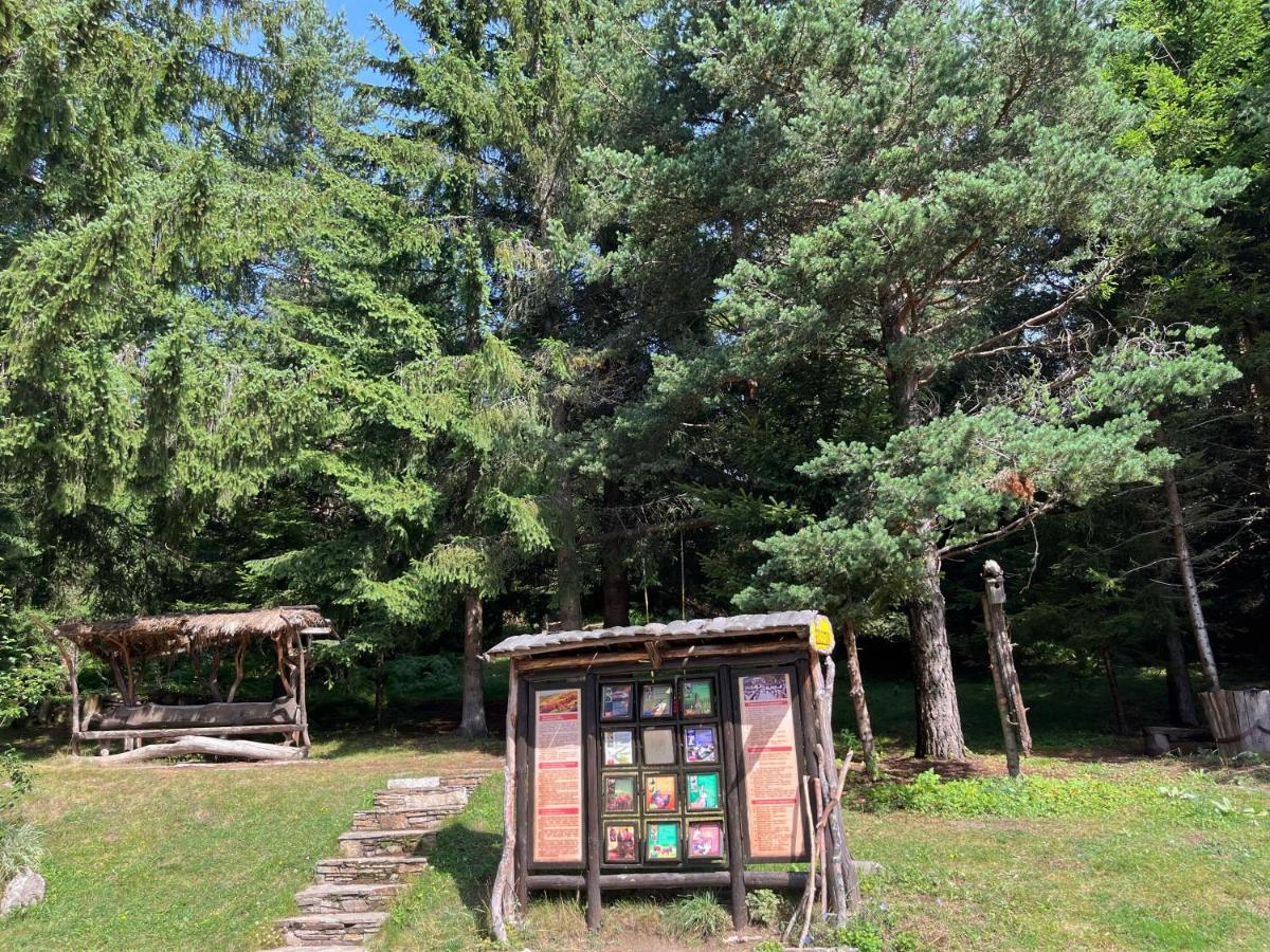Апартамент Горска Приказка - Forest Tale Smolyan Buitenkant foto