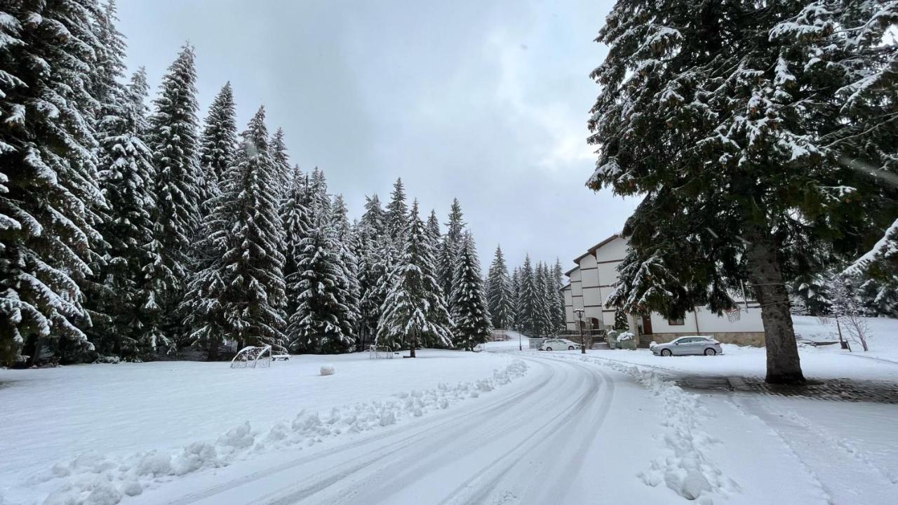 Апартамент Горска Приказка - Forest Tale Smolyan Buitenkant foto